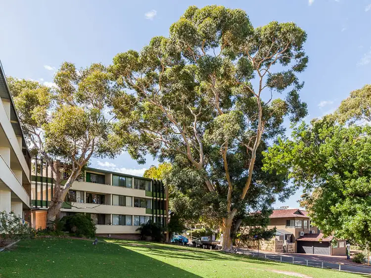 16/389 Stirling Highway