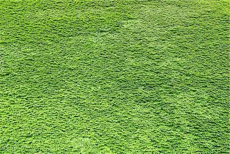 LOT 14, 269 Lakes Boulevard Close, South Morang VIC 3752