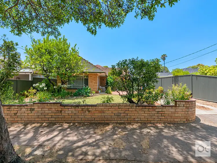 Fourth view of Homely house listing, 31 Weller Street, Goodwood SA 5034