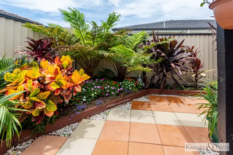 Third view of Homely house listing, 22 Lungfish Circuit, Bongaree QLD 4507