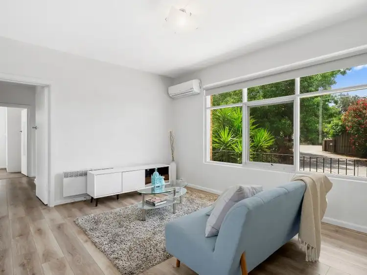 1/337 High Street, Belmont VIC 3216