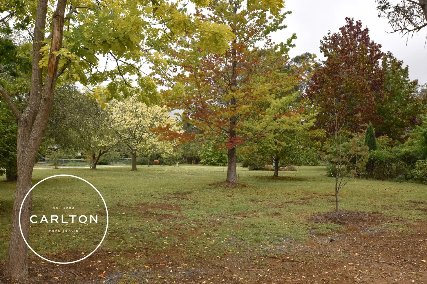 Main view of Homely land listing, 6 Drapers Road, Willow Vale NSW 2575