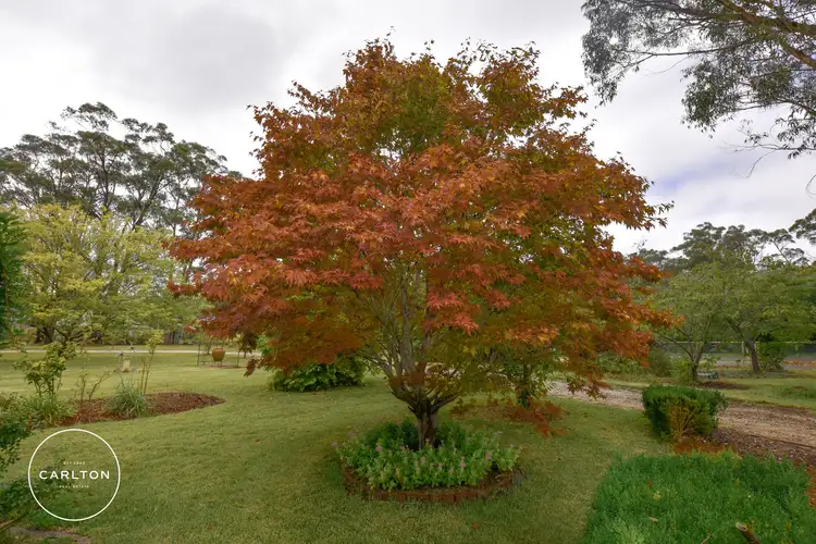 Fourth view of Homely land listing, 6 Drapers Road, Willow Vale NSW 2575