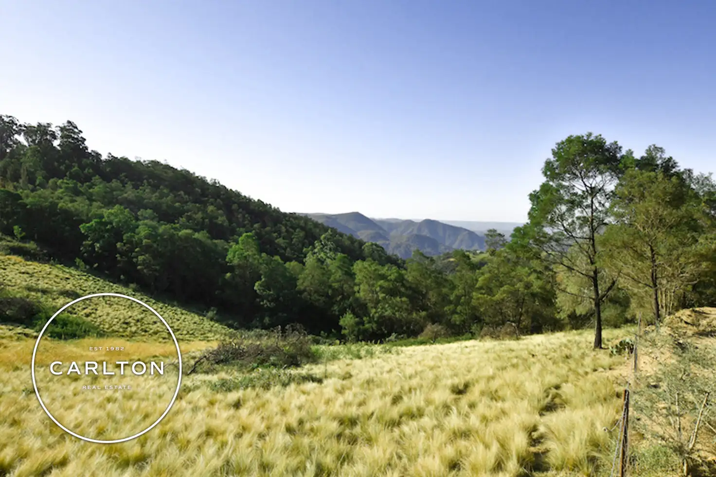 Main view of Homely rural property listing, 130 Obriens Road, Bullio NSW 2575