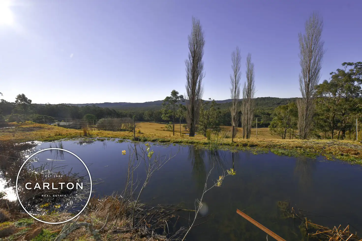 Main view of Homely rural property listing, 101 .spring Hills Road, Meryla NSW 2577