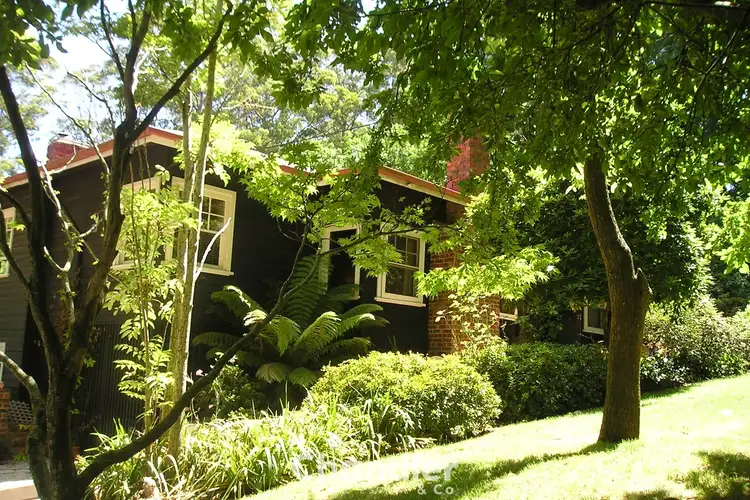Second view of Homely house listing, 16 The Crescent, Sassafras VIC 3787