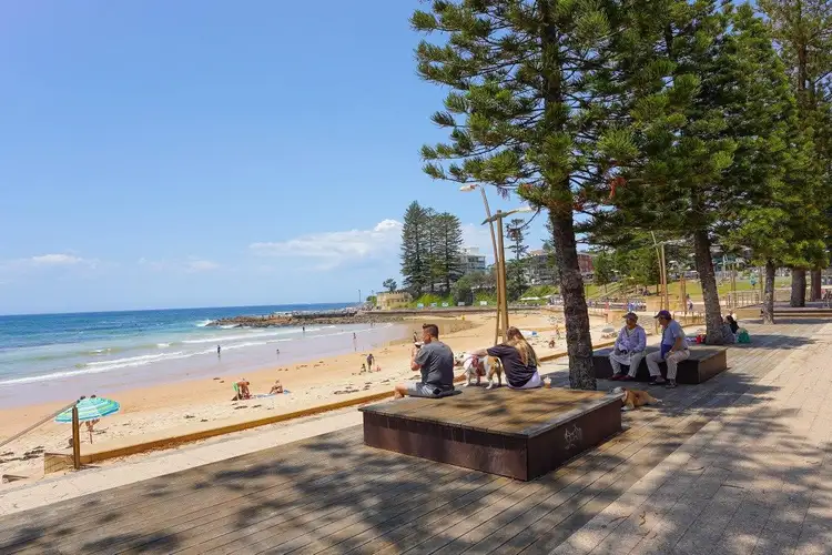 Sixth view of Homely apartment listing, 4/11 Avon Road, Dee Why NSW 2099