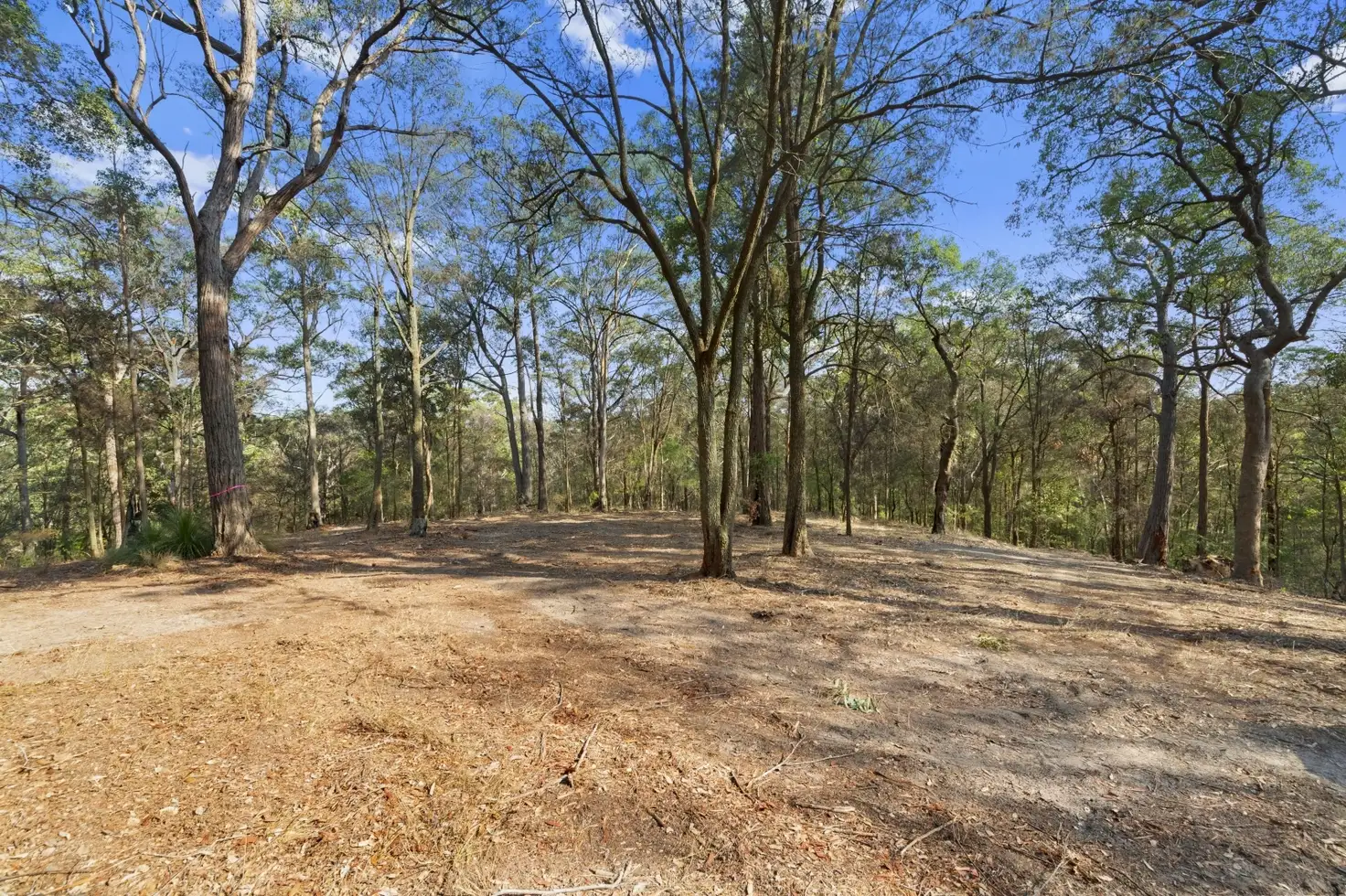 Main view of Homely land listing, Lot 1 Bunning Creek Road, Yarramalong NSW 2259