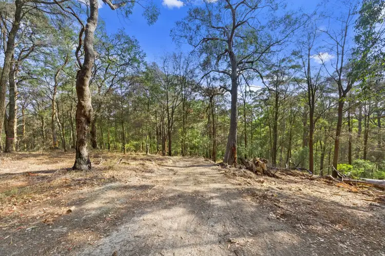 Fourth view of Homely land listing, Lot 1 Bunning Creek Road, Yarramalong NSW 2259