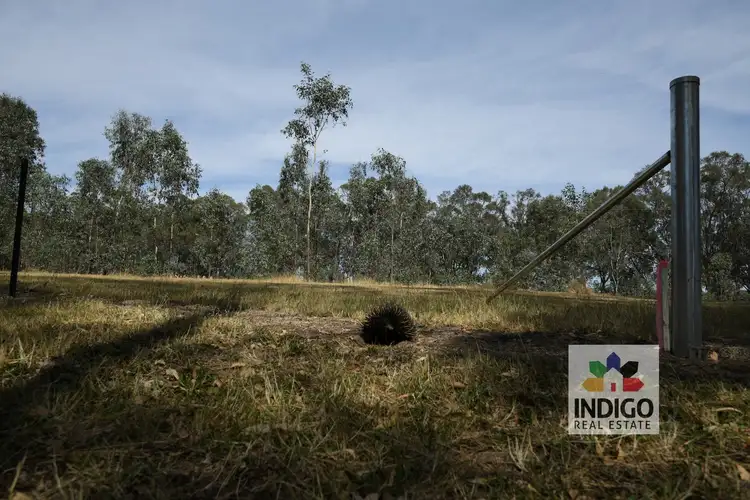 Sixth view of Homely land listing, LOT 1, 51 Star Lane, Wooragee VIC 3747