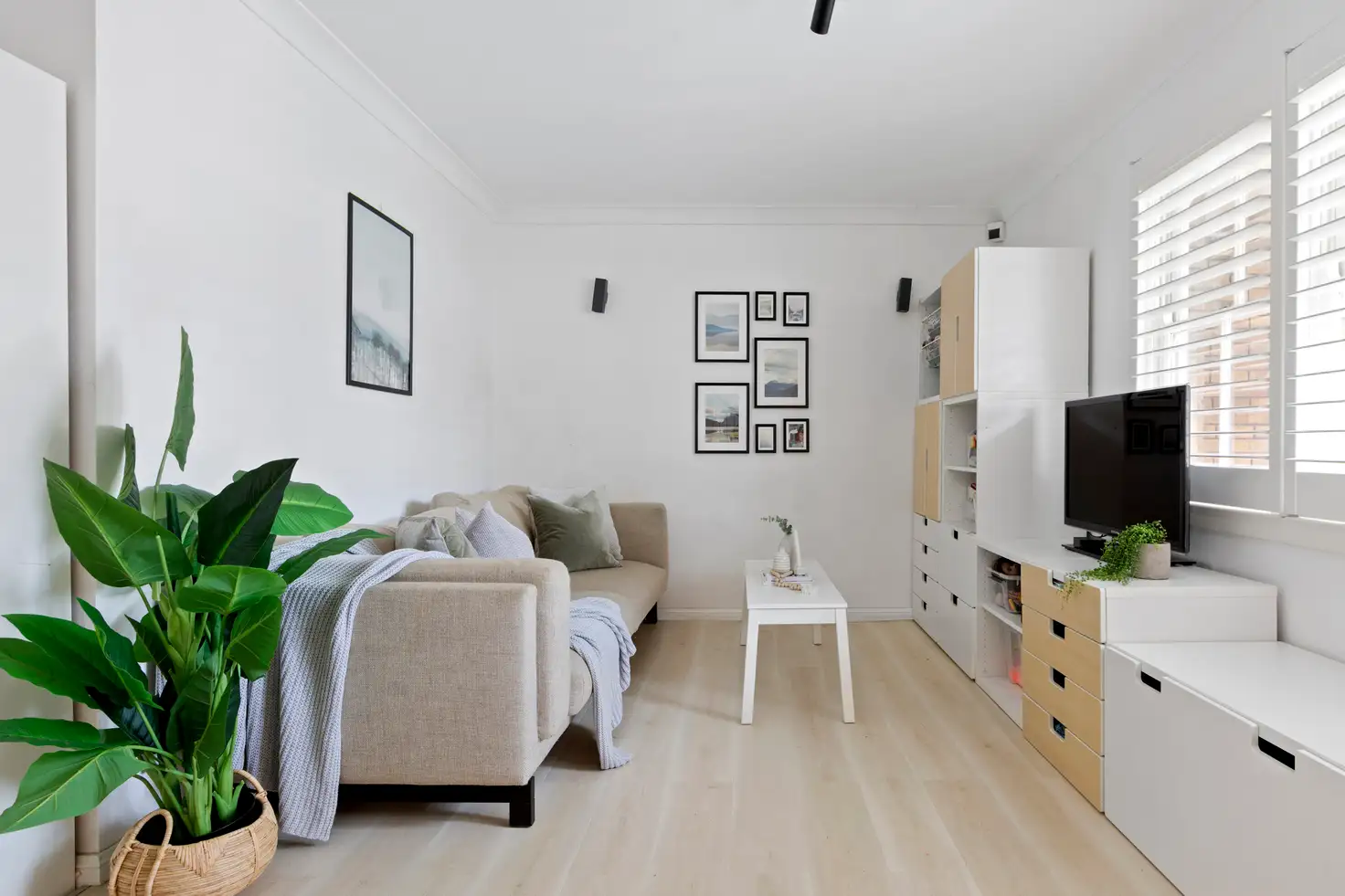Main view of Homely townhouse listing, 3/13 Lodge Street, Balgowlah NSW 2093