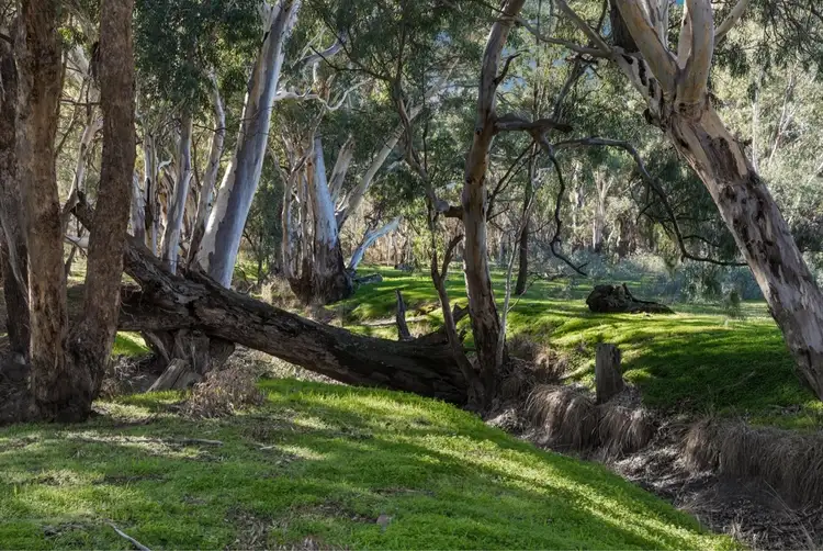 Fourth view of Homely land listing, LOT 2 Hawkins Lane, Longlea VIC 3551