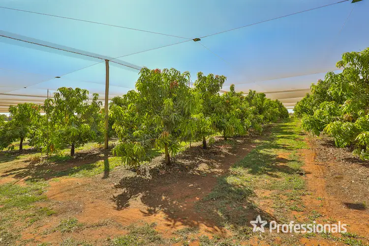 Third view of Homely rural property listing, 547 Morpung Avenue, Irymple VIC 3498