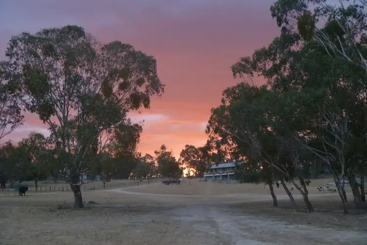 641 Balala Road, Balala NSW 2358