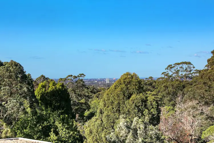 Main view of Homely apartment listing, 804/2-12 Avon Road, Pymble NSW 2073
