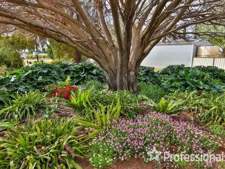 Sixth view of Homely house listing, 9 Dadswell Road, Red Cliffs VIC 3496