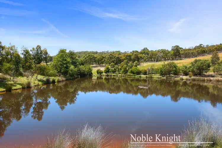Sixth view of Homely rural property listing, 169 Hunts Lane, Steels Creek VIC 3775