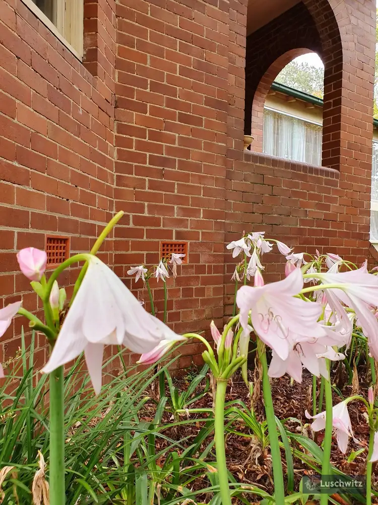Second view of Homely house listing, 23 Park Avenue, Gordon NSW 2072