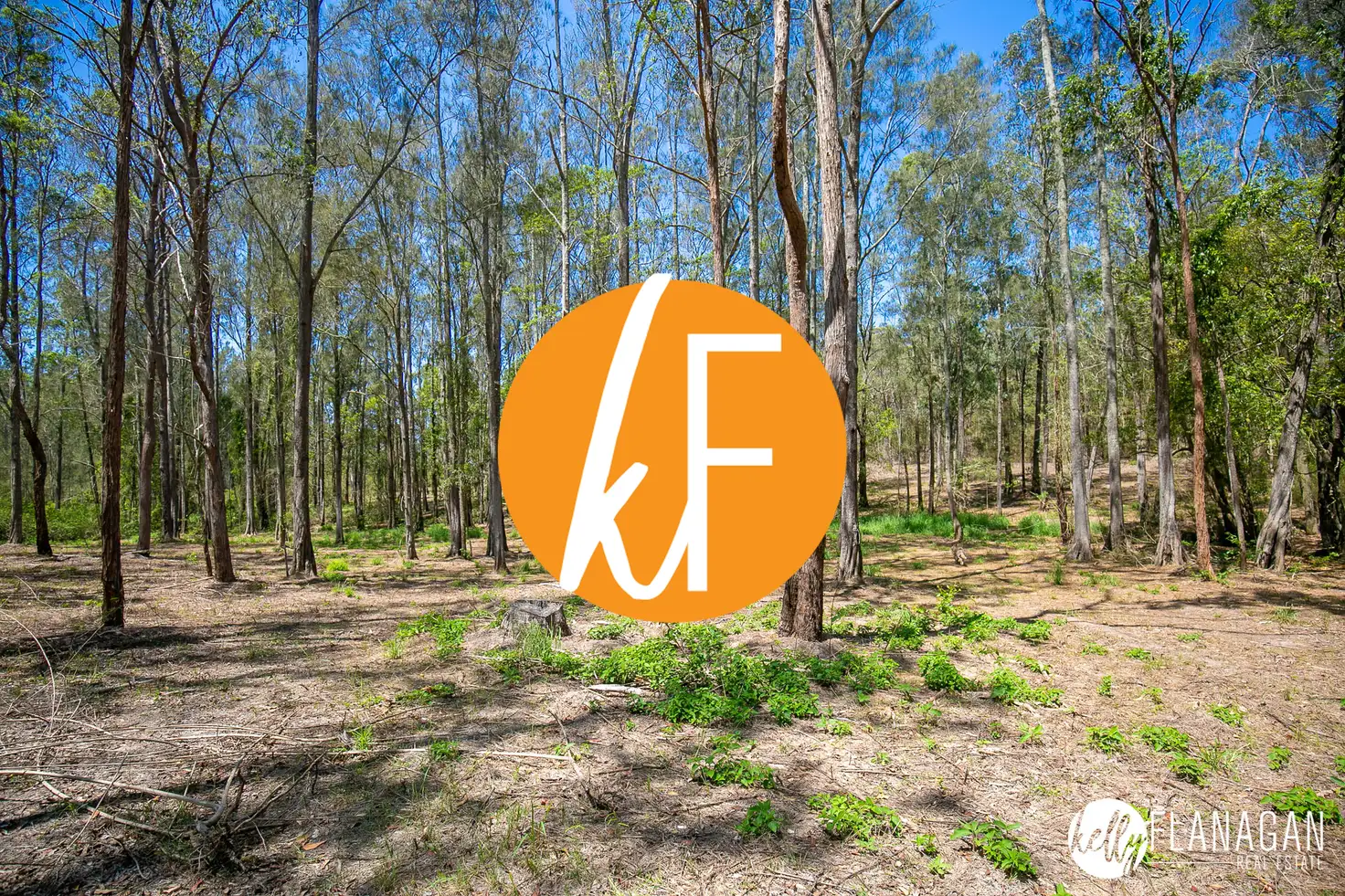 Main view of Homely rural property listing, Lot 4 DP 8 Collombatti Road, Frederickton NSW 2440