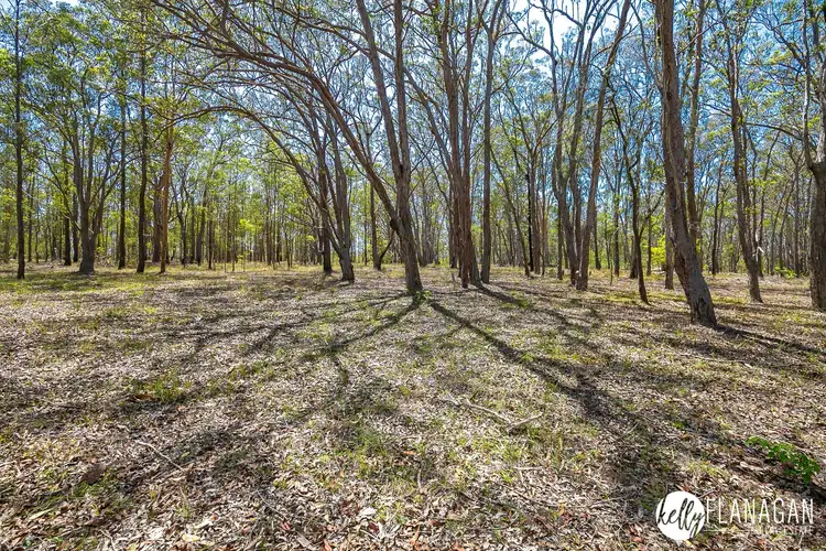 Fourth view of Homely rural property listing, Lot 4 DP 8 Collombatti Road, Frederickton NSW 2440