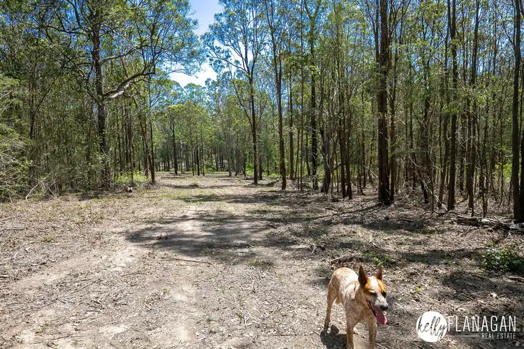 Sixth view of Homely rural property listing, Lot 4 DP 8 Collombatti Road, Frederickton NSW 2440