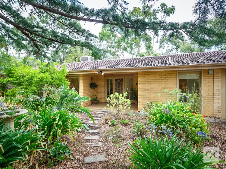 59 Braemar Road, Torrens Park SA 5062
