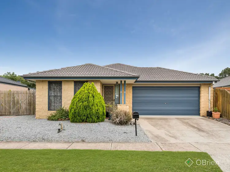 12 Birdrock Court, Carrum Downs VIC 3201