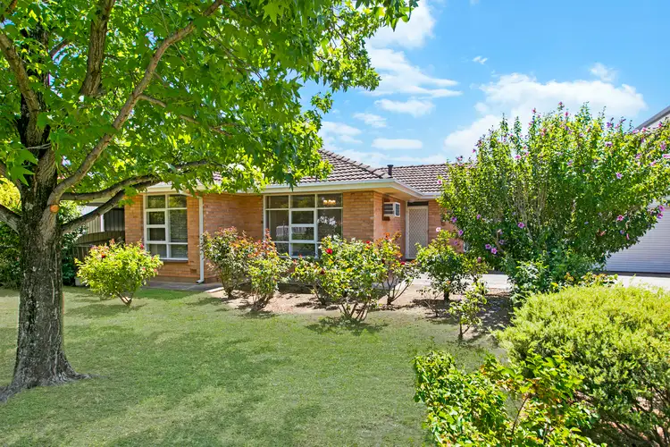 Main view of Homely house listing, 11 Pamela Avenue, Campbelltown SA 5074
