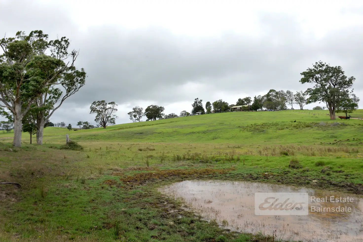 Main view of Homely house listing, 345 Cornwalls Road, Nungurner VIC 3909