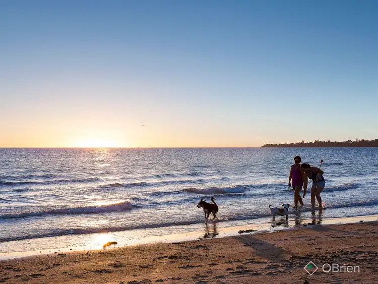 Sixth view of Homely apartment listing, 4/7 Anderson Court, Mentone VIC 3194