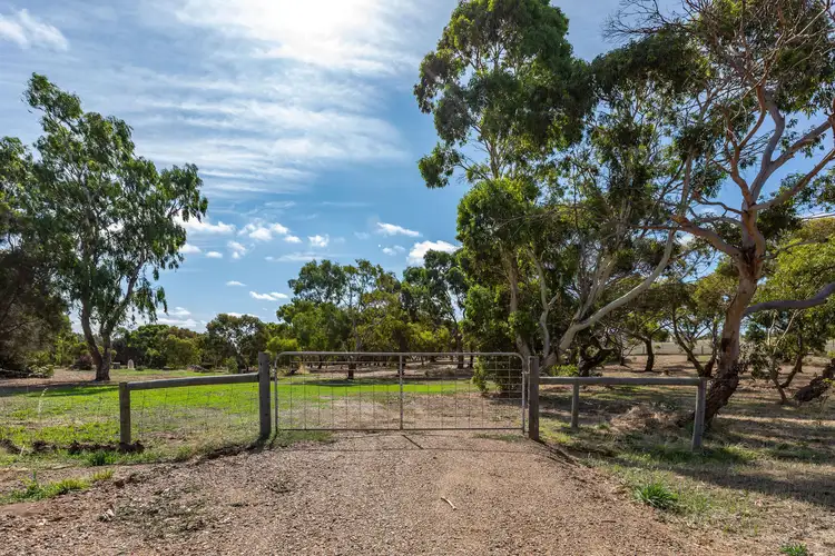 31-37 Kestrel Court, Boston SA 5607