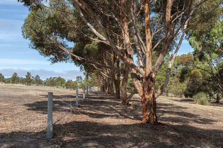 Third view of Homely land listing, 31-37 Kestrel Court, Boston SA 5607