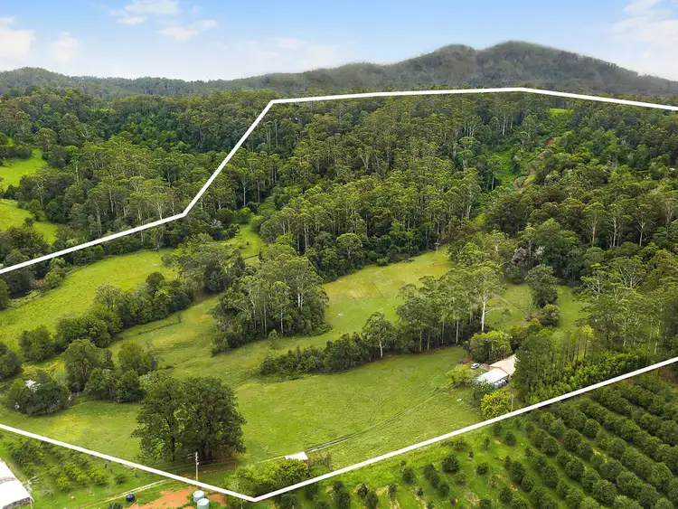 Main view of Homely rural property listing, 200 Tewinga Lane, Tewinga NSW 2449