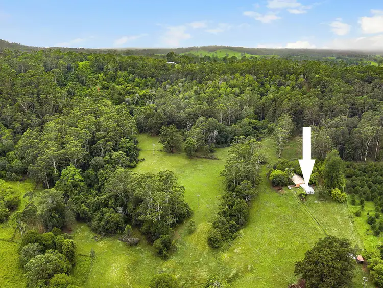 Sixth view of Homely rural property listing, 200 Tewinga Lane, Tewinga NSW 2449