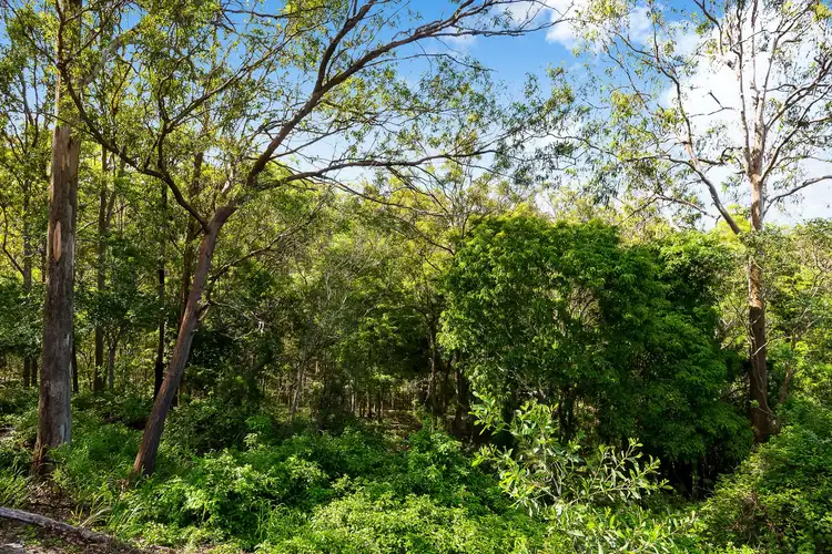 Fifth view of Homely house listing, 17 Lochinvar Road, Upper Kedron QLD 4055