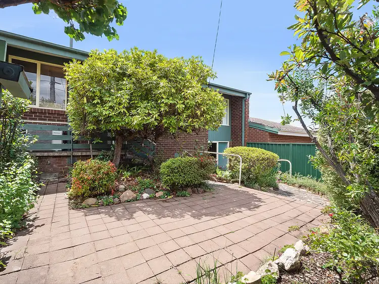 Sixth view of Homely house listing, 19 Rymill Place, Mawson ACT 2607