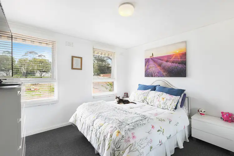 Sixth view of Homely house listing, 16 MacAdam Street, Page ACT 2614