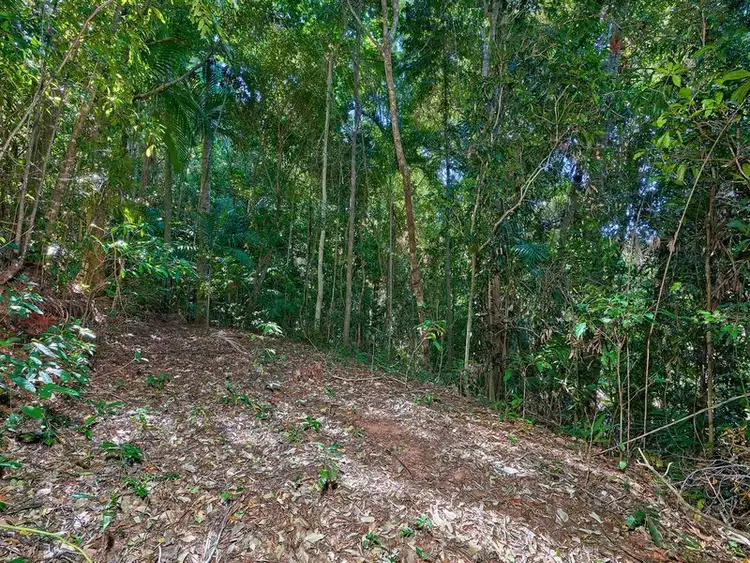 Fourth view of Homely land listing, 185-187 Stanton Road, Smithfield QLD 4878