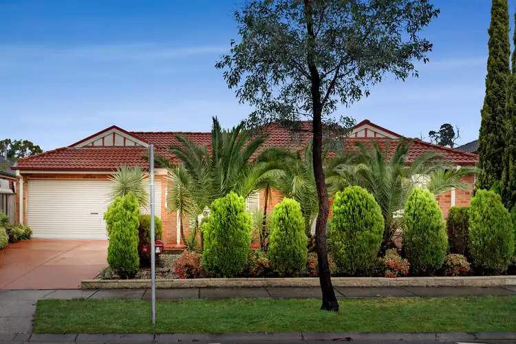 19 Poppy Drive, South Morang VIC 3752