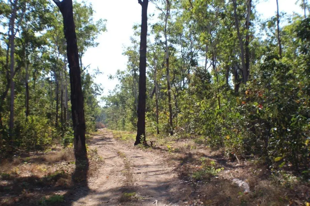 Main view of Homely land listing, 125 Eucalyptus Road, Herbert NT 836
