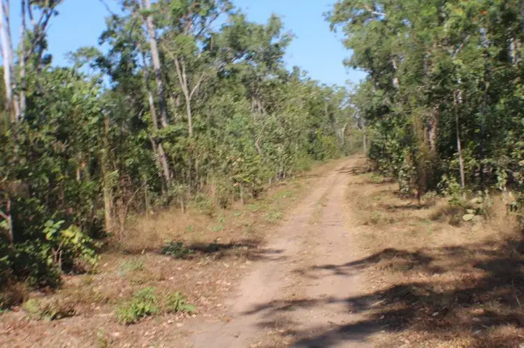 Sixth view of Homely land listing, 125 Eucalyptus Road, Herbert NT 836