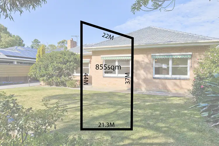 Third view of Homely house listing, 3 Jasmine Grove, Fulham Gardens SA 5024