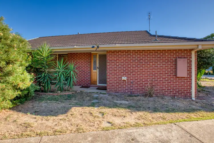 Main view of Homely unit listing, 1/14 Shiels Court, Wodonga VIC 3690