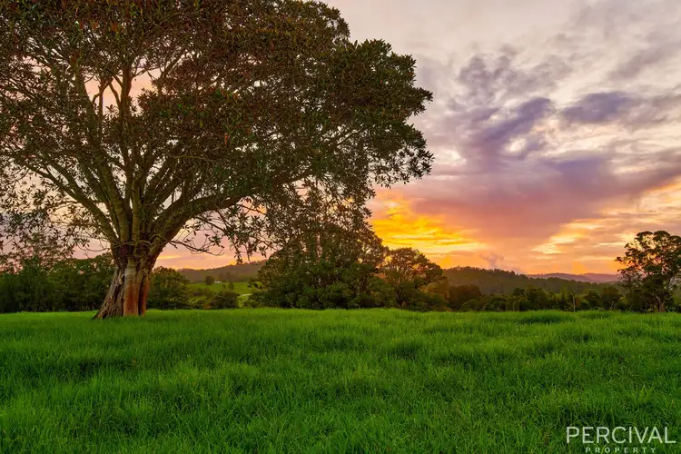 Third view of Homely house listing, 995 Lorne Road, Lorne NSW 2439