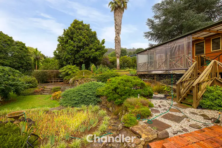 Main view of Homely house listing, 248 Olinda - Monbulk Road, Monbulk VIC 3793