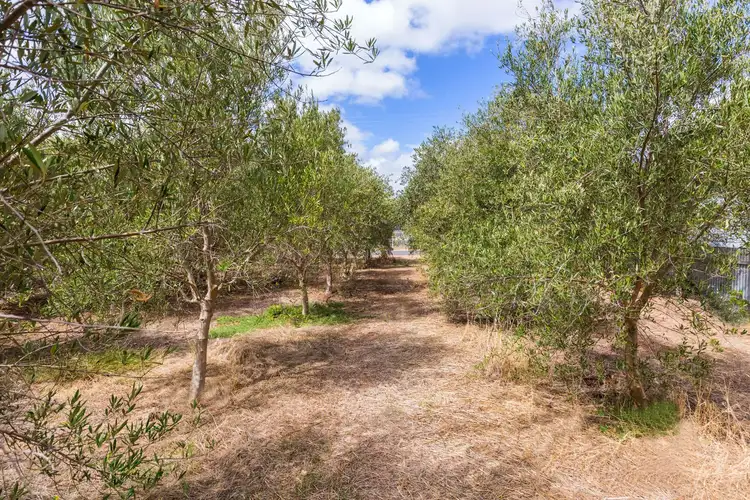 Fifth view of Homely land listing, 14 Darwalla Road, Aldinga SA 5173