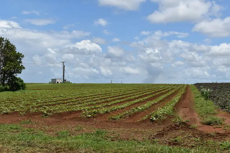 Second view of Homely rural property listing, 356 Hummock Road, Woongarra QLD 4670