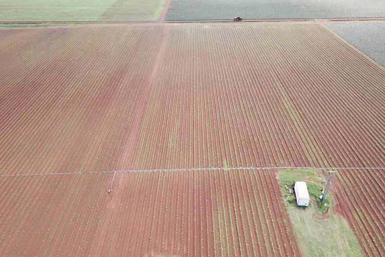 Sixth view of Homely rural property listing, 356 Hummock Road, Woongarra QLD 4670