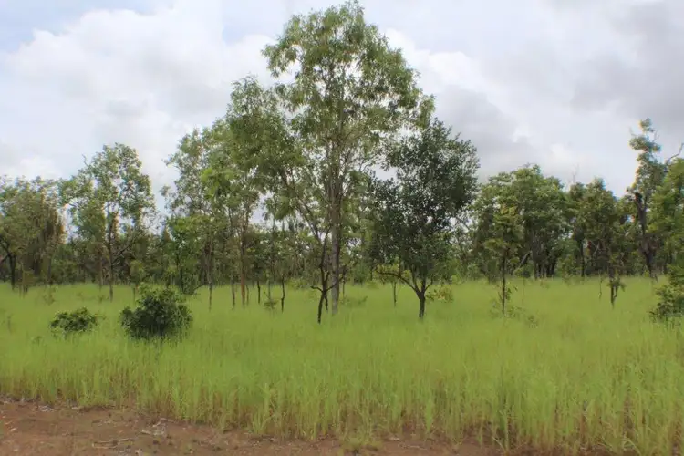 Fifth view of Homely rural property listing, 1485 Leonino Road, Darwin River NT 841