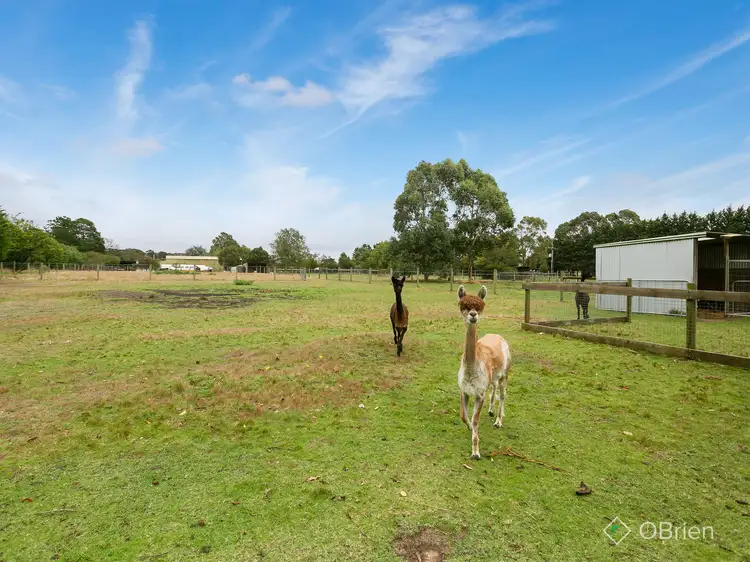 158 Jones Road, Somerville VIC 3912
